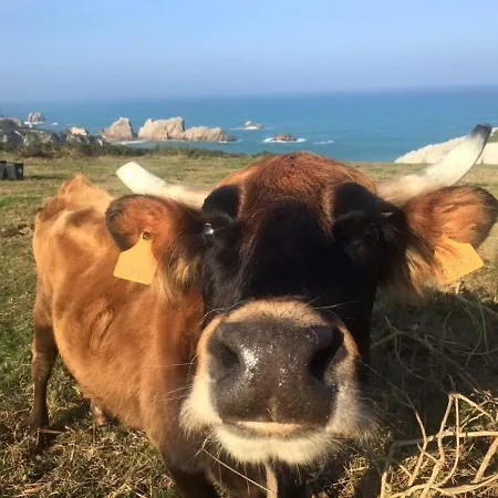 La Morena Hotel Soto de la Marina