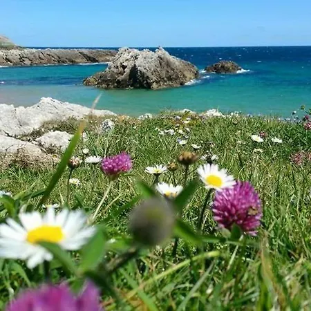 La Morena Soto de la Marina