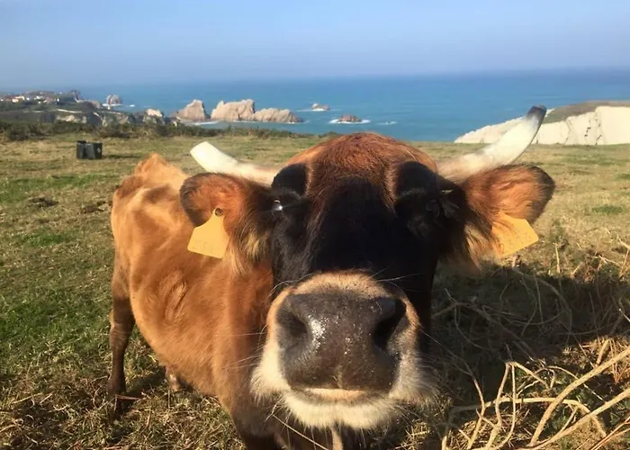 La Morena מלון סוטו דה לה מרינה